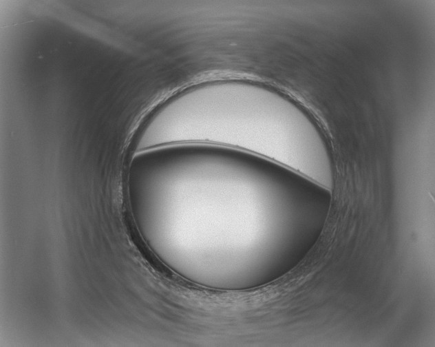 X0000057090015200509090951