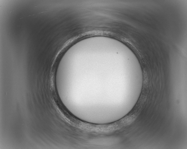 X0000057090016200509090951