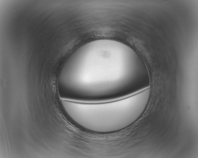 X0000057090017200509090951