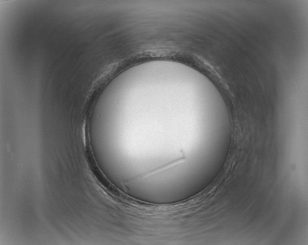 X0000057090019200509090950