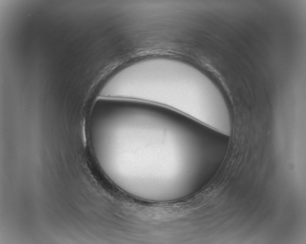 X0000057090020200509090950