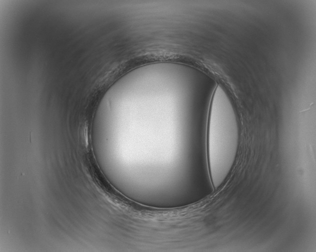 X0000057090021200509090950