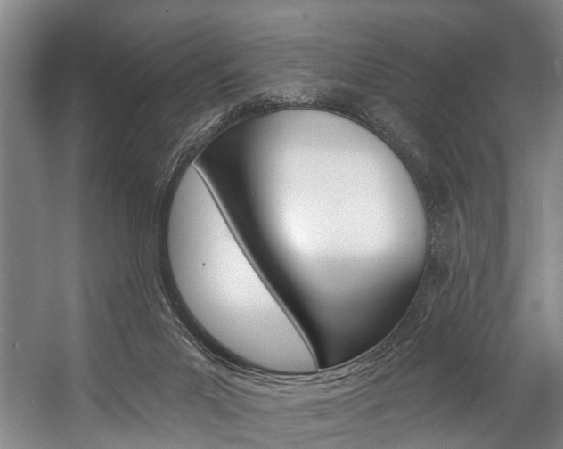 X0000057090023200509090950