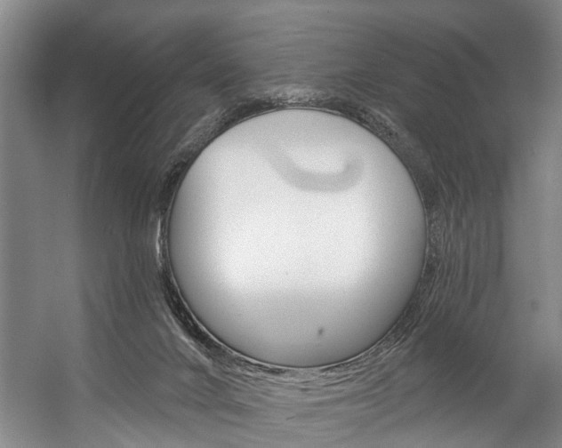 X0000057090024200509090950