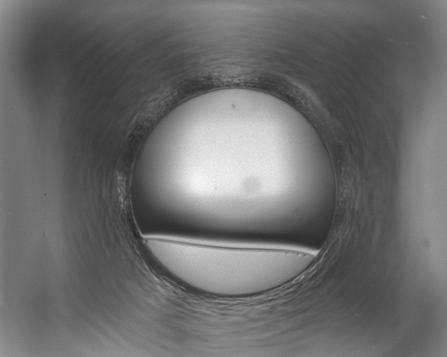 X0000057090025200509090950