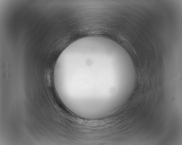 X0000057090026200509090950