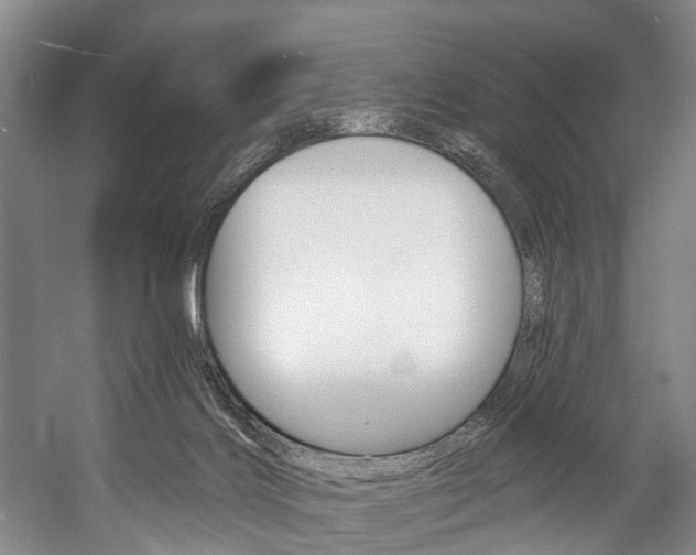 X0000057090028200509090950