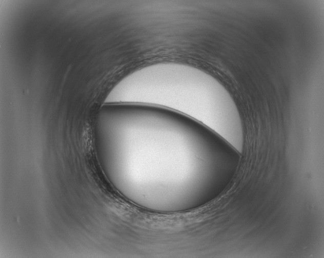 X0000057090029200509090950