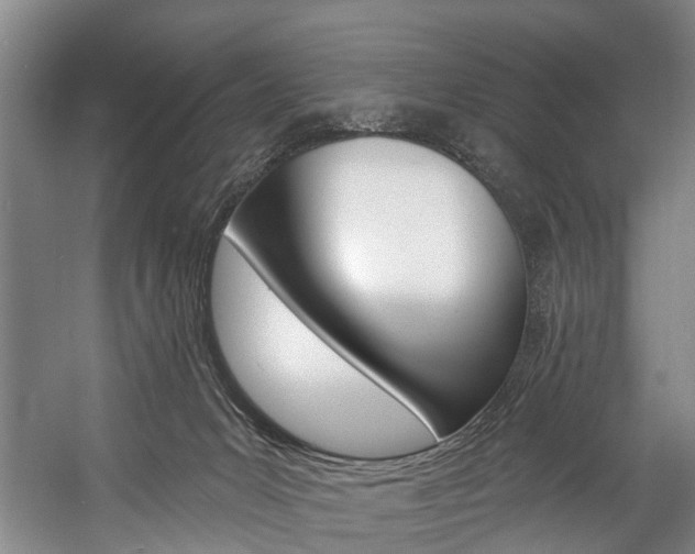 X0000057090031200509090950