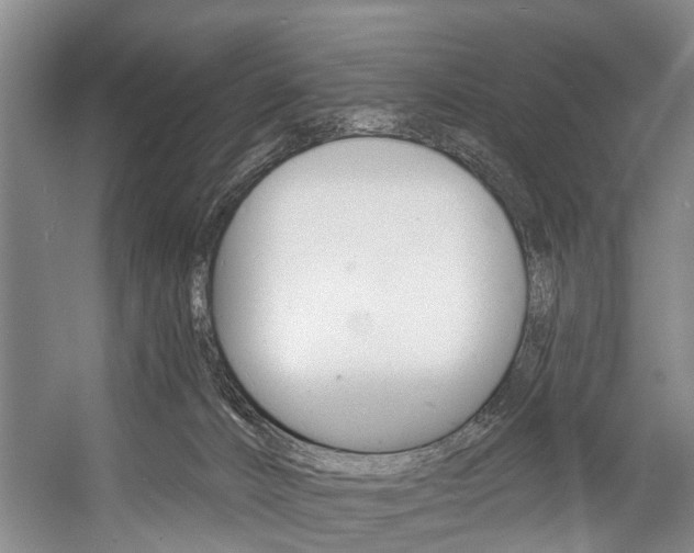 X0000057090032200509090950