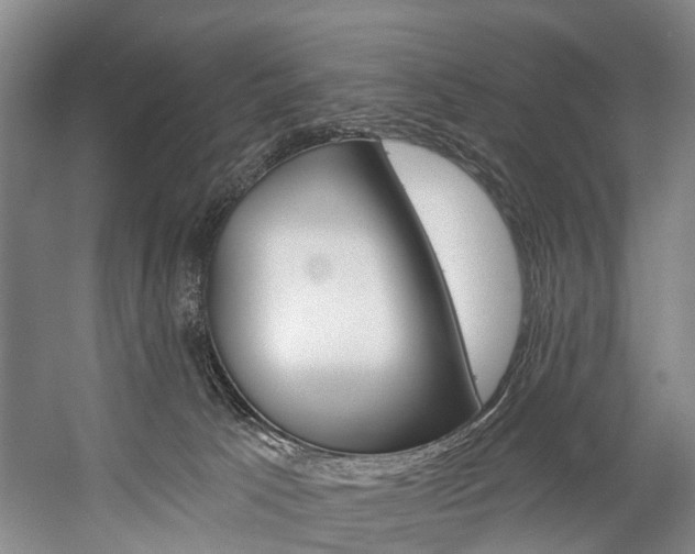 X0000057090033200509090950