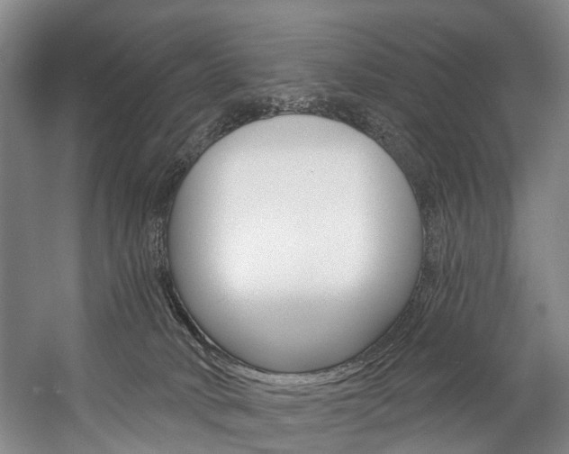 X0000057090034200509090950