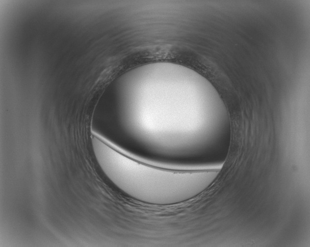 X0000057090035200509090950