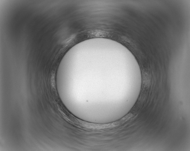 X0000057090036200509090950