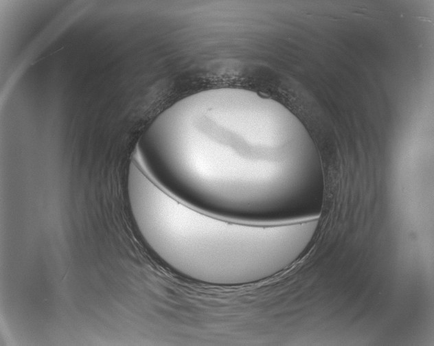 X0000057090037200509090950