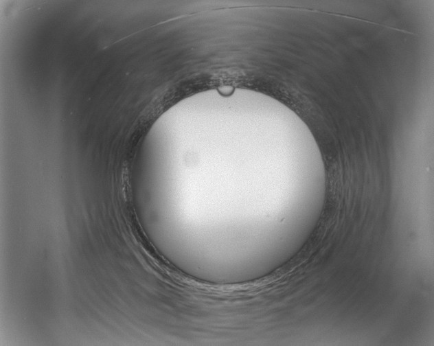 X0000057090038200509090950