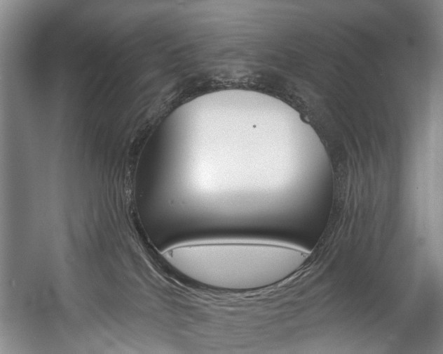 X0000057090040200509090950