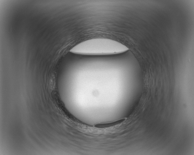 X0000057090043200509090950