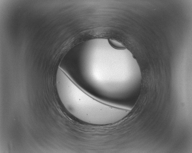 X0000057090044200509090950