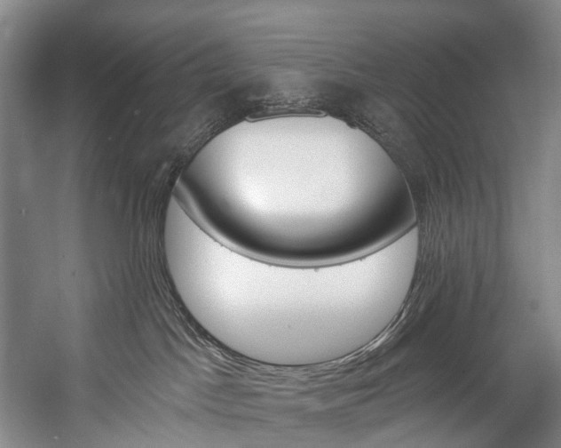 X0000057090045200509090950