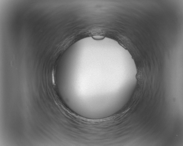 X0000057090046200509090950