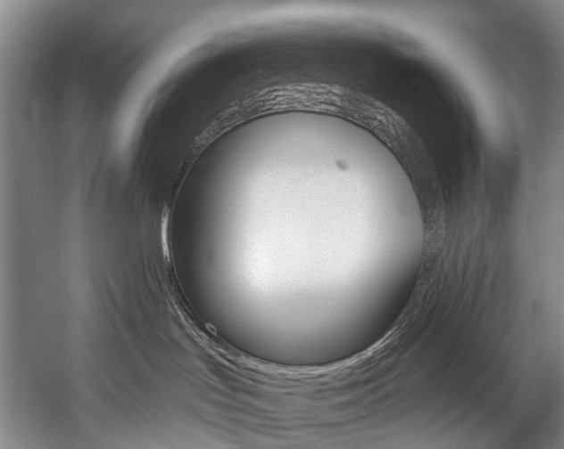 X0000057090047200509090950