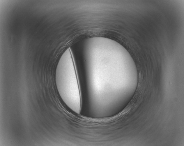 X0000057090048200509090950