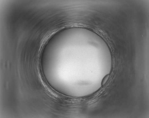 X0000057090049200509090949