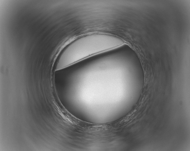 X0000057090050200509090949