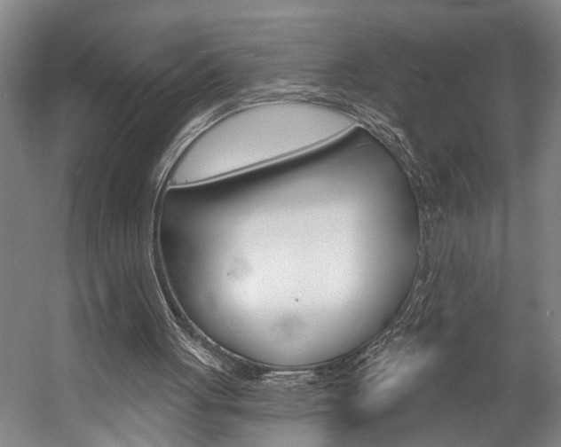 X0000057090051200509090949