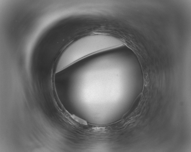 X0000057090052200509090949