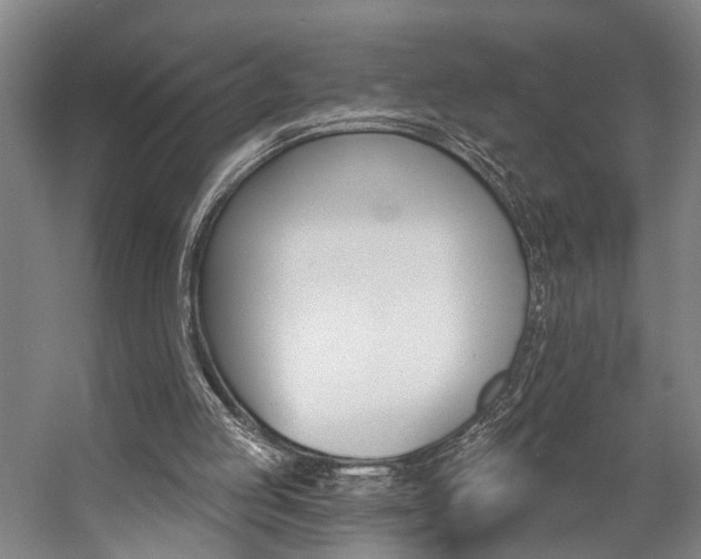 X0000057090053200509090949