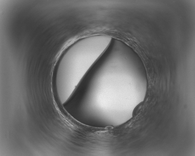 X0000057090054200509090949