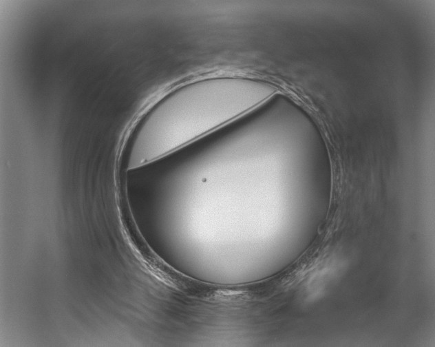 X0000057090055200509090949