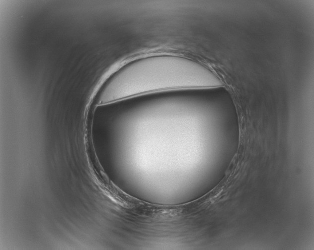 X0000057090056200509090949