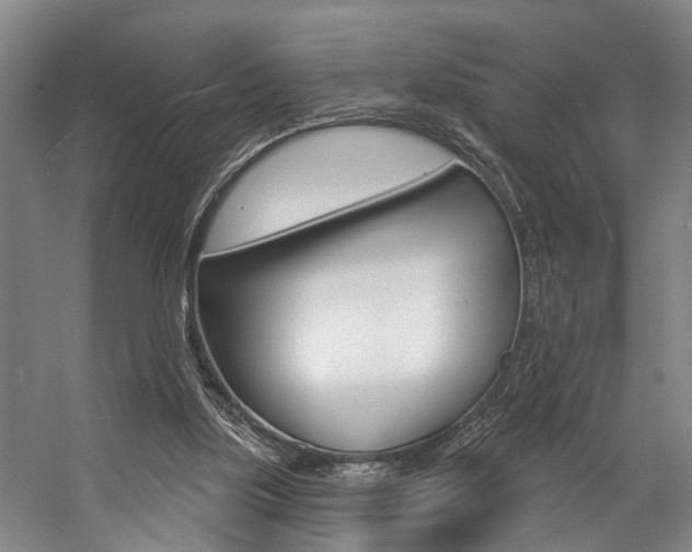 X0000057090059200509090949