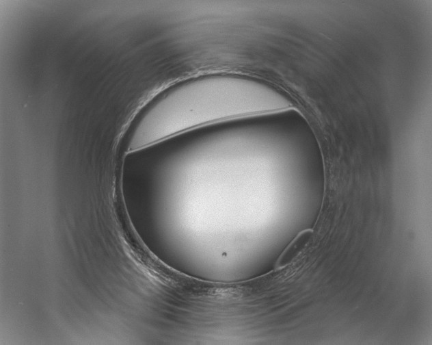 X0000057090060200509090949