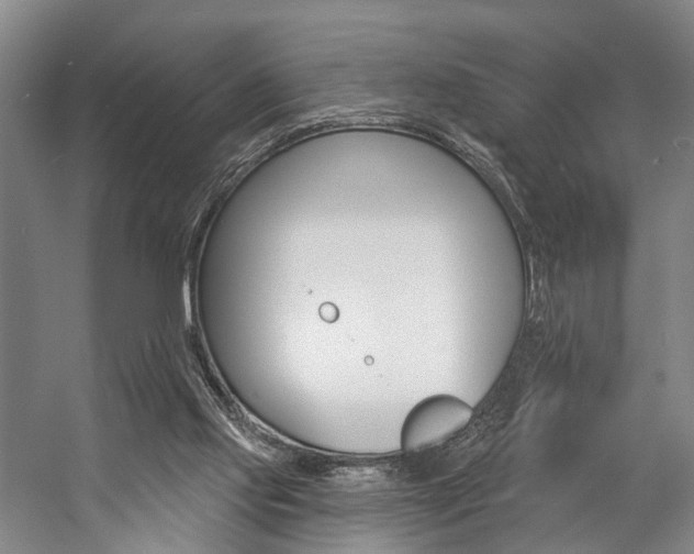 X0000057090061200509090949