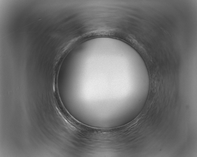 X0000057090062200509090949