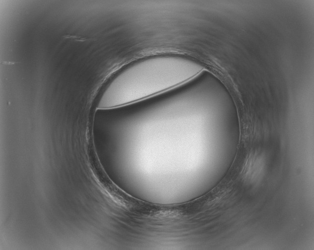 X0000057090063200509090949