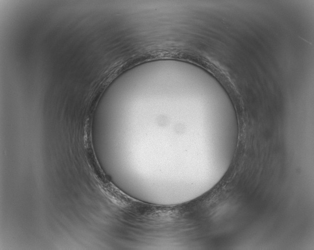 X0000057090065200509090949