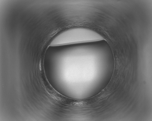 X0000057090068200509090950