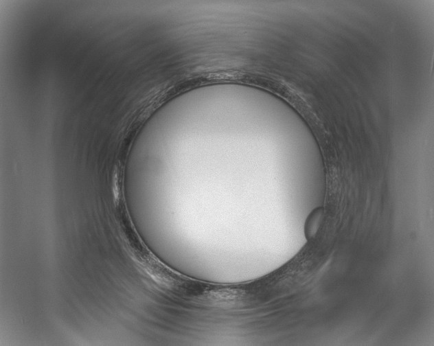 X0000057090069200509090950