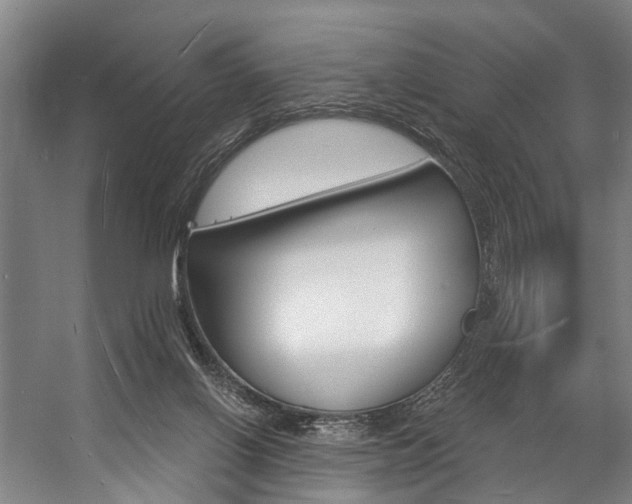 X0000057090070200509090950