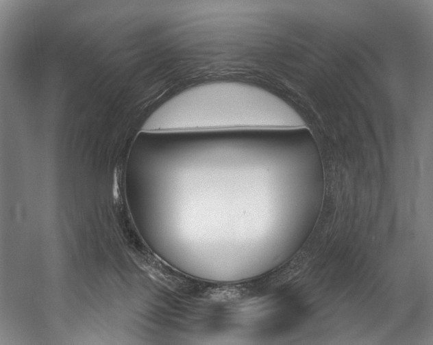 X0000057090075200509090950