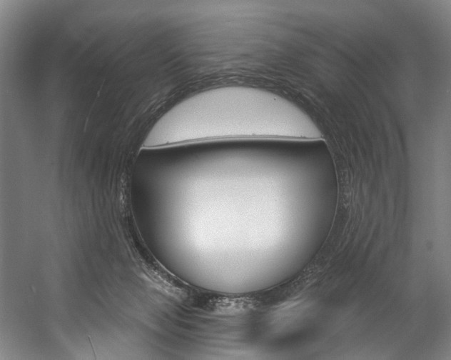 X0000057090077200509090950