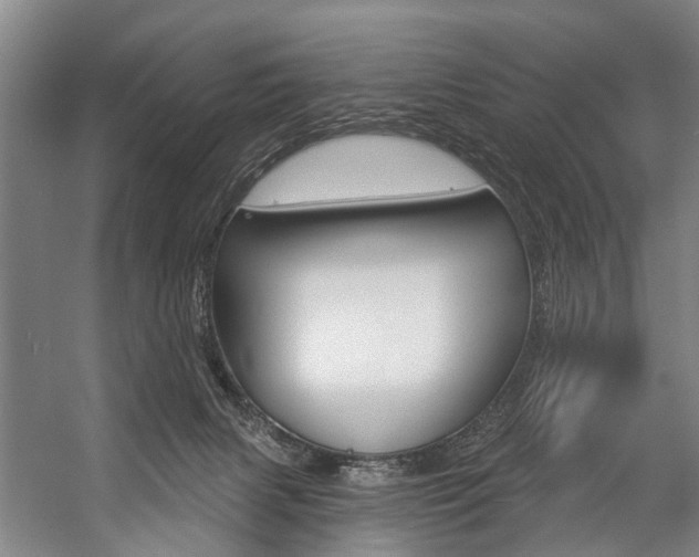 X0000057090079200509090950