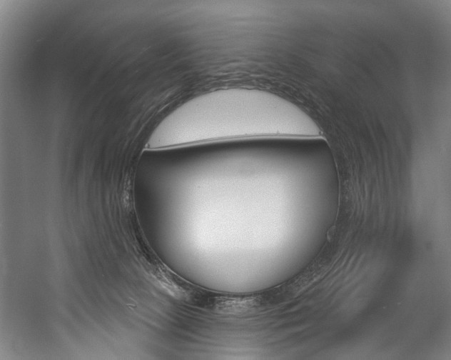 X0000057090081200509090950