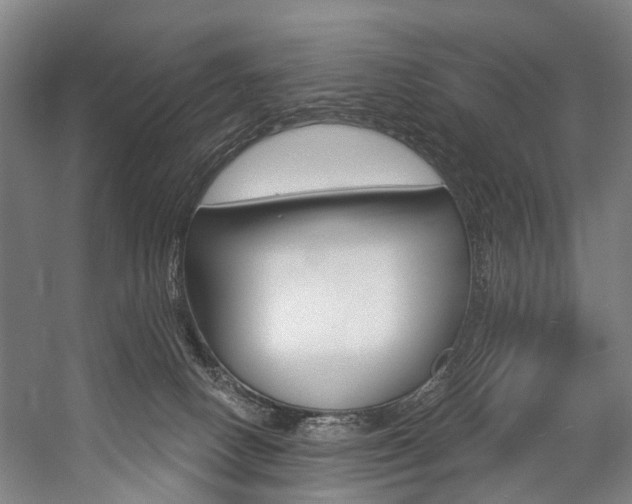 X0000057090082200509090950