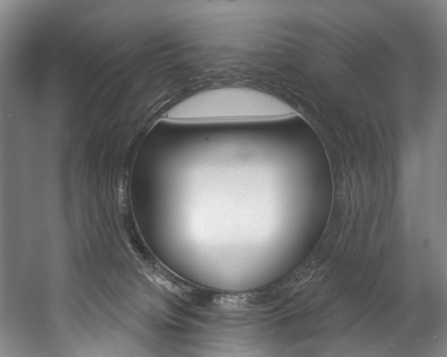 X0000057090084200509090950